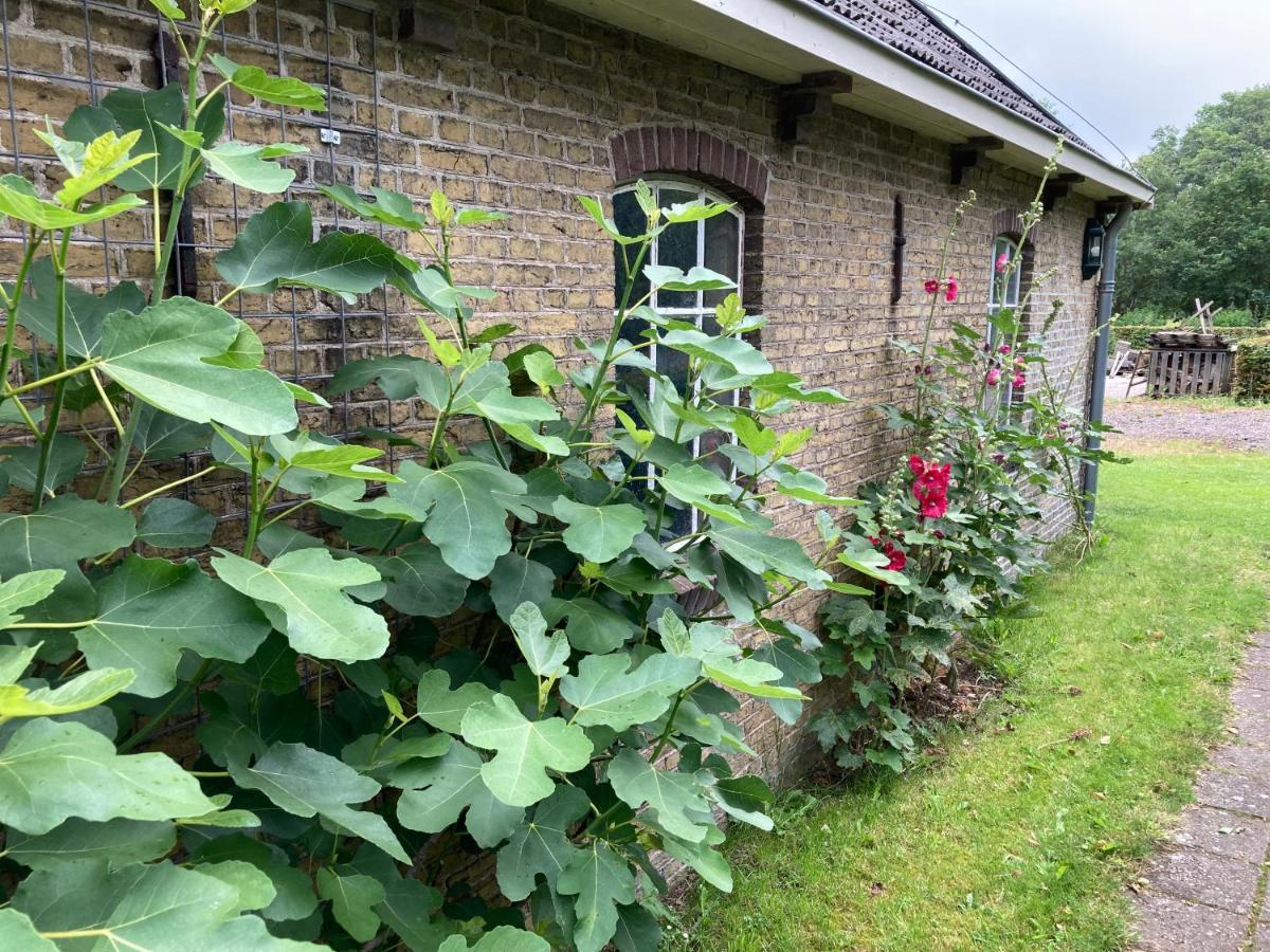 Appartement Duerswald à Wijnjewoude Extérieur photo